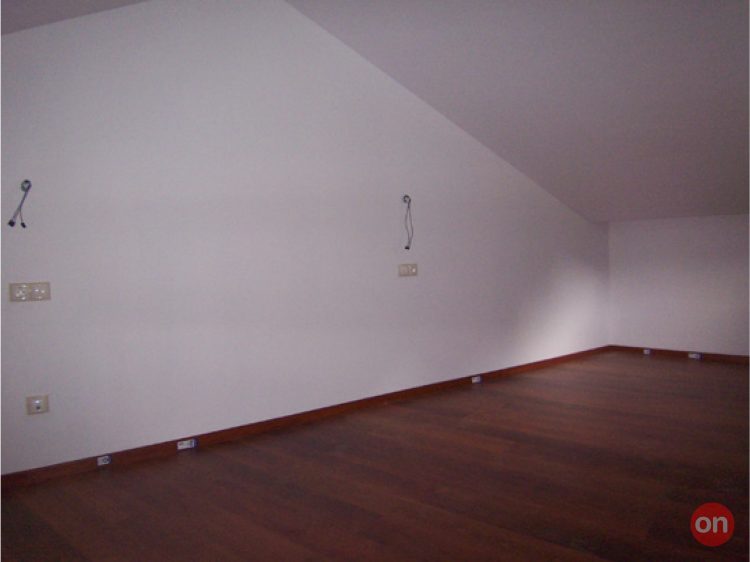 pic5.jpg